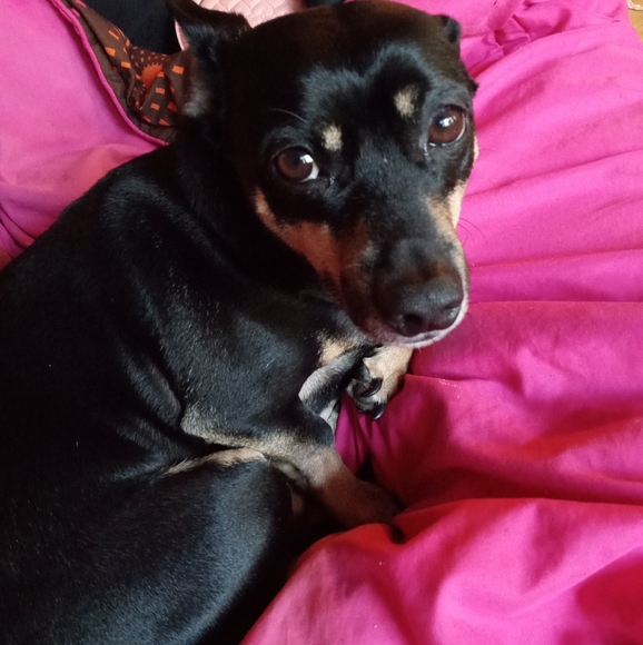 Meet your Posher, Amie - Picture 7 of 14